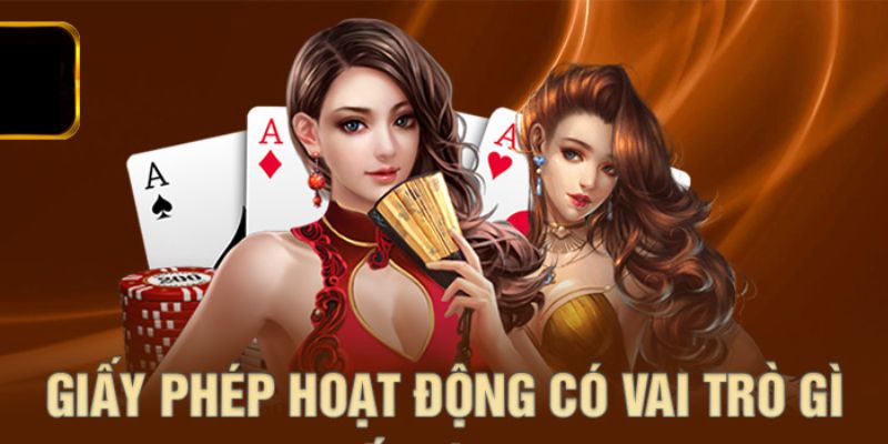 Vai trò của giấy phép hoạt động